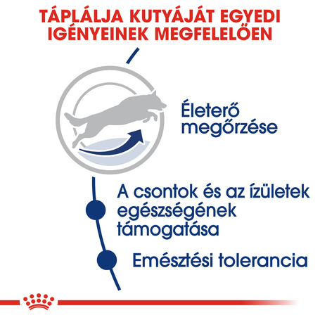 Royal Canin Maxi Adult 5+ | Nagytestű idősödő kutya száraz táp