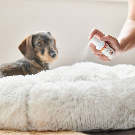 Beaphar CaniComfort feromonos nyugtató spray kutyáknak