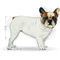 Royal Canin French Bulldog Adult 3.