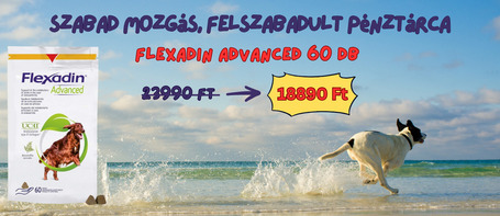 Elszaladtak az árak – a jó irányba! Flexadin Advanced prémium ízületvédő kutyáknak most 5000 Ft kedvezménnyel💸