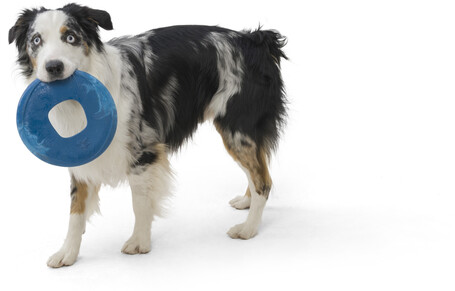 West Paw Seaflex Sailz - Károsanyag-mentes frizbi