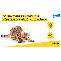 AdTab kullancs és bolha elleni rágótabletta macskáknak #6