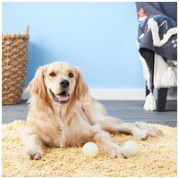 Chuckit! Max Glow - Sötétben világító gumilabda kutyáknak #6