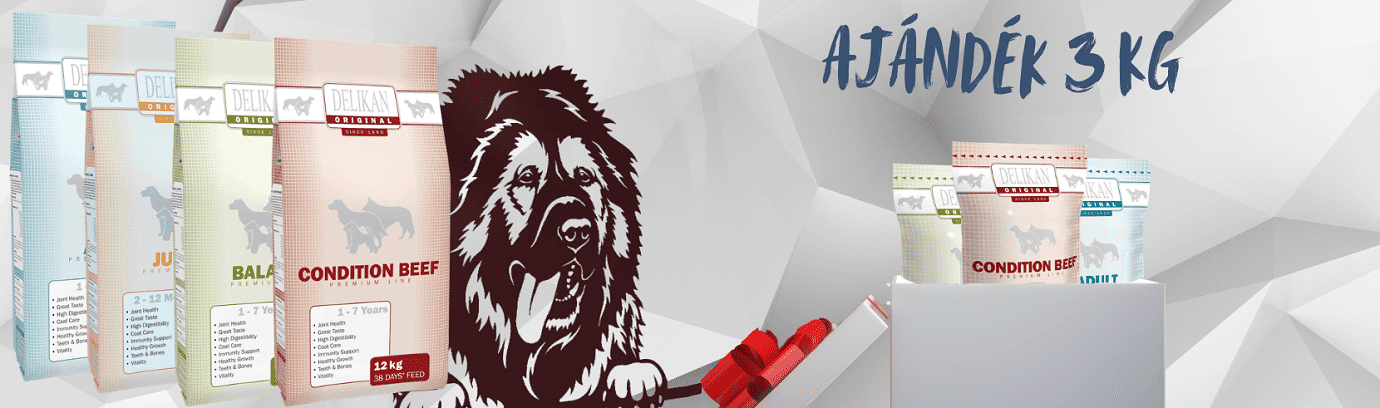 Okosgazdi banner #475