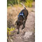 Montana Dog hálós kutyahám kék színben