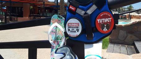 Yutipet RnD párnázott biztonsági kutyahám (Piros)