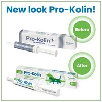 Protexin Pro-Kolin+ paszta #2