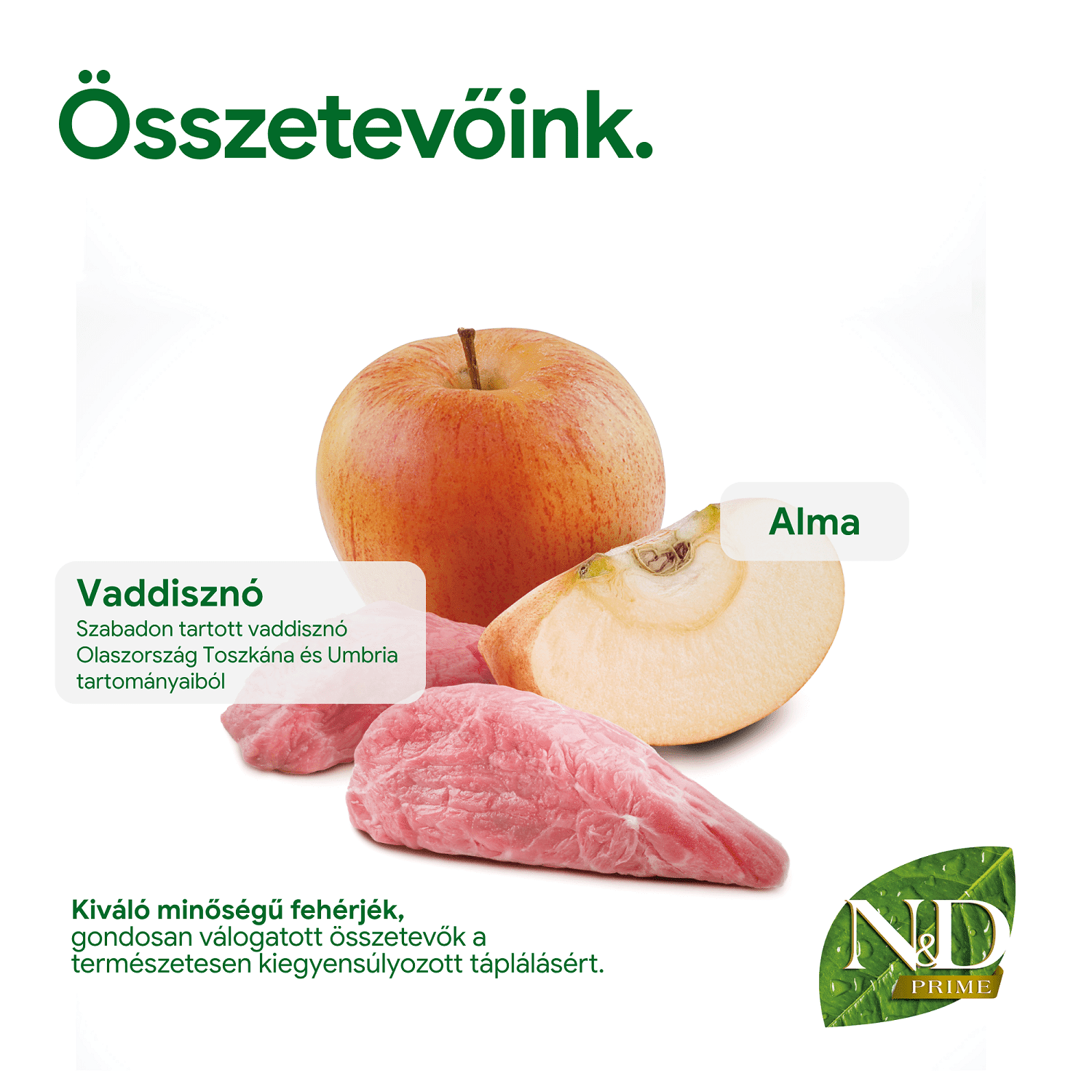 N&D Dog Adult Mini Boar & Apple Grain Free | Vaddisznóhúsos és almás kutyaeledel | Kistestű kedvenceknek