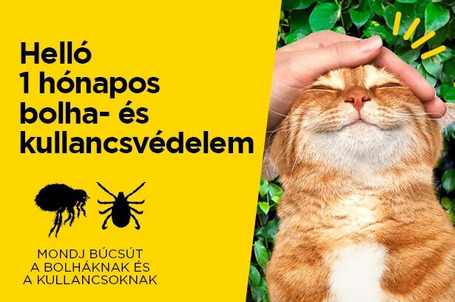 AdTab kullancs és bolha elleni rágótabletta macskáknak