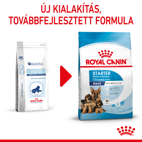 Royal Canin Maxi Starter -  Száraz táp nagy testű vemhes szuka és kölyök kutya részére 2 hónapos korig