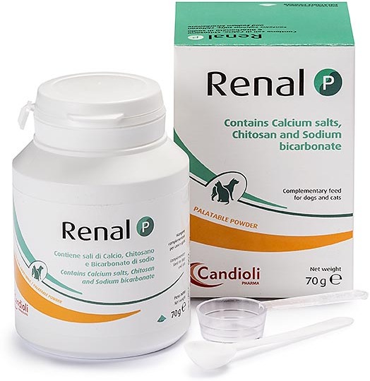 Candioli Renal P pudră de protecție renală