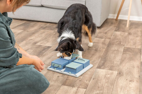 Trixie Dog Activity Poker Box ügyességi játék kutyának