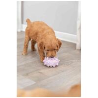 Trixie tüskés latex karika #2