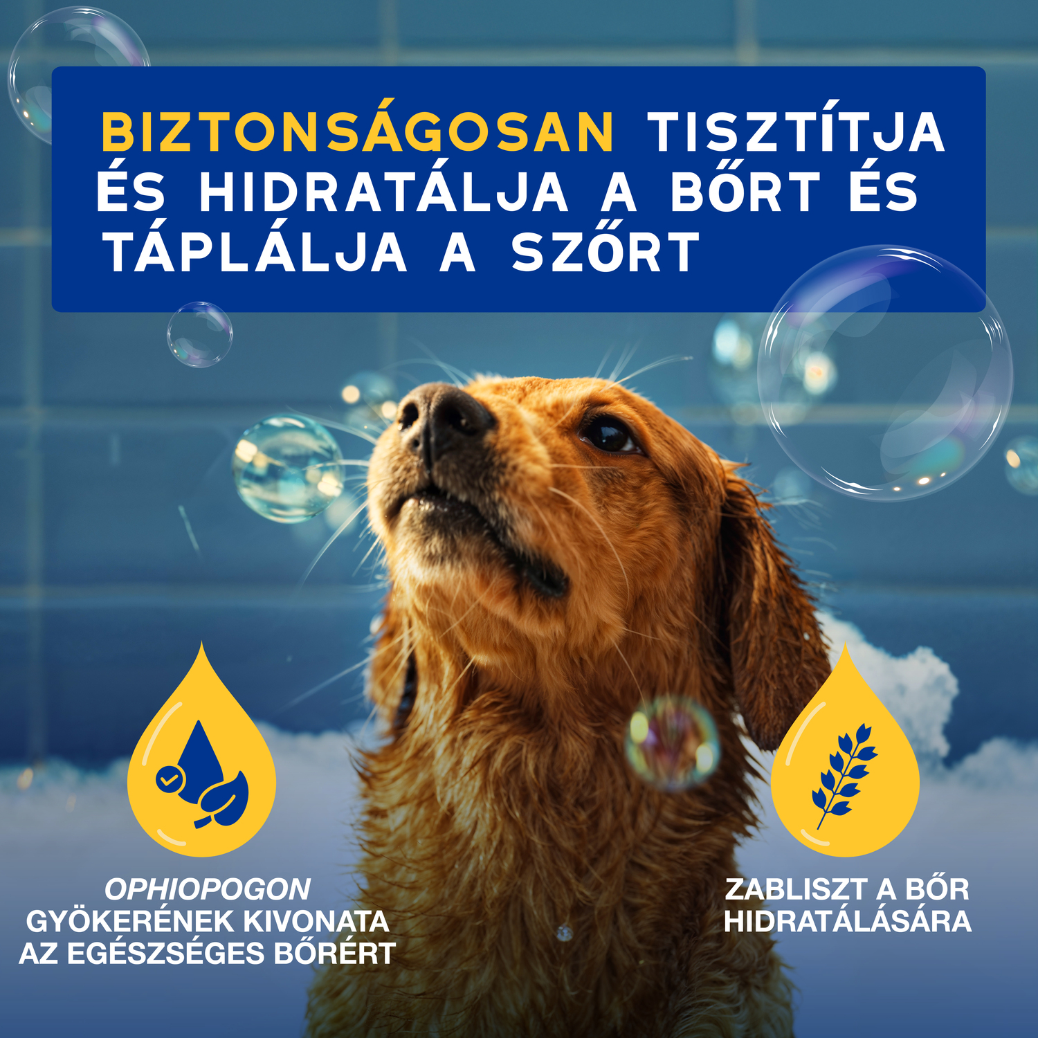 Douxo Spa șampon hidratant pentru câini - zoom