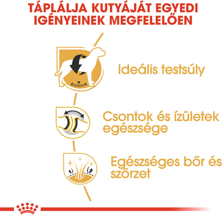 Royal Canin Labrador Adult - Labrador Retriever felnőtt kutya száraz táp