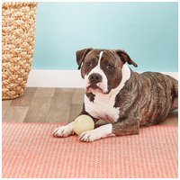 Chuckit! Max Glow - Sötétben világító gumilabda kutyáknak #7