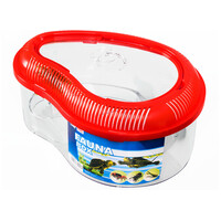 Fauna-box kis kilépő szigettel, azon pálmafával #3