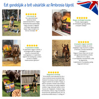 Ambrosia Dog Grain Free Senior, Light & Sterilized #15