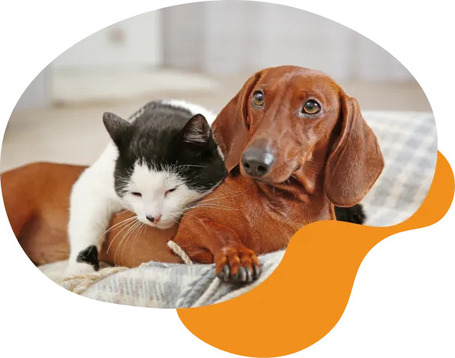 DeliGuard posztbiotikum szirup