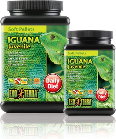 Exo Terra Iguana Juvenile