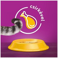 Whiskas Sterile szárazeledel ivartalanított macskáknak #3