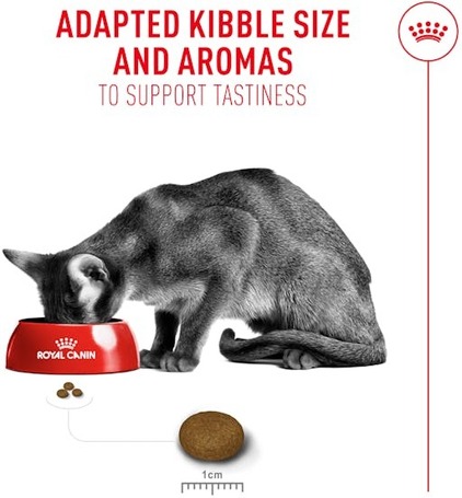 Royal Canin Fussy - válógatós macskák részére