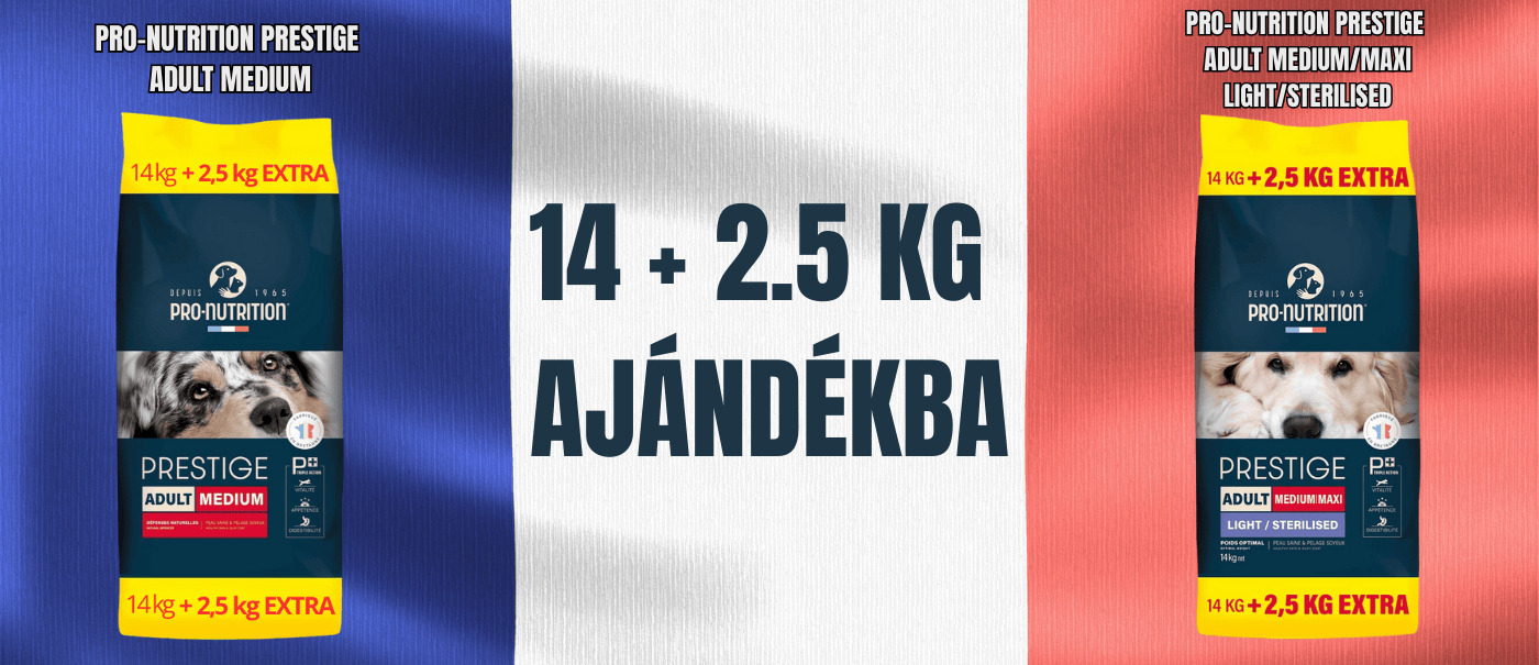 🎁 Most 2,5 kg prémium francia kutyatápot🐶 adunk ajándékba!