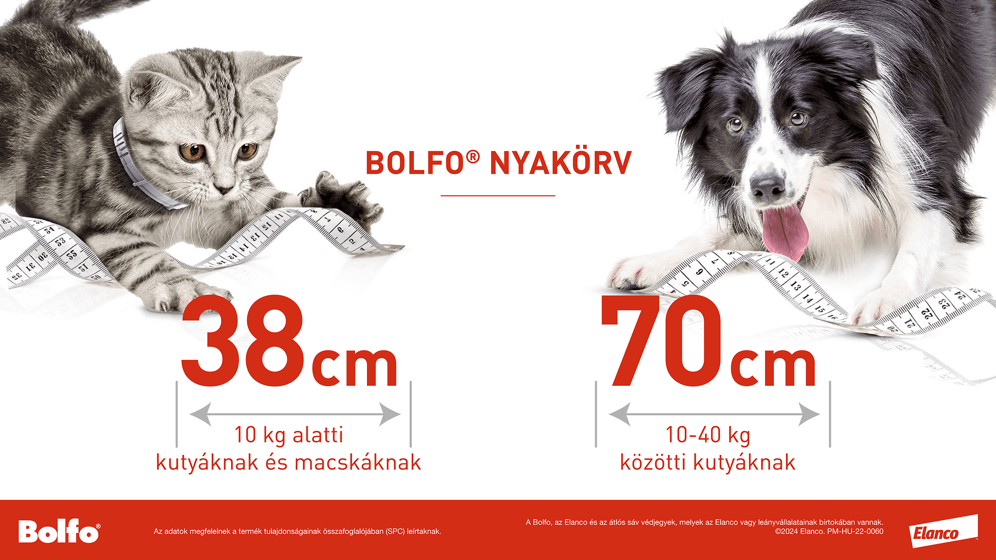 Zgardă Bolfo - zoom