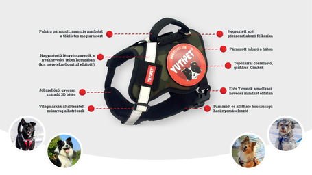 Yutipet RnD párnázott biztonsági kutyahám (Narancssárga)