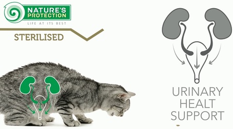 Nature's Protection Sterilised Cat