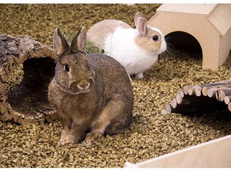 bunnyNature Bedding Cosy