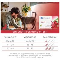 Dermoscent Uti-Zen kutyáknak és macskáknak #2