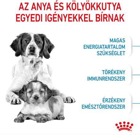 Royal Canin Medium Starter Mother & Babydog - Száraz táp közepes testű vemhes szuka és kölyök kutya részére 2 hónapos korig