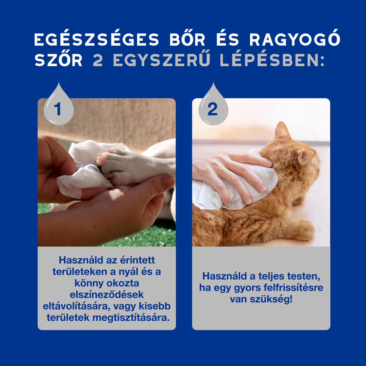 Douxo Spa nedves törlőkendő kutyáknak és macskáknak - zoom