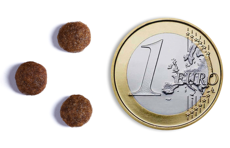 Ambrosia Dog Adult Mini GF Fresh Salmon & Rabbit | Gabonamentes táp kistestű kutyáknak friss lazaccal és nyúlhússal