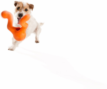 West Paw Tizzi - Multifunkcionális kutyajáték