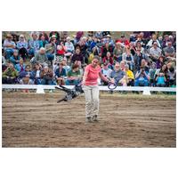 Puller fitnessz/ügyességfejlesztő karikák kutyáknak #7