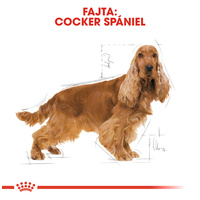 Royal Canin Cocker Adult - Cocker Spániel felnőtt kutya száraz táp #2