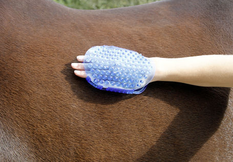 Kerbl mágneses masszázs vakaró lovaknak