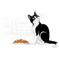 Felix Sensations Jellies alutasakos macskaeledel – Vegyes válogatás aszpikban – Multipack #4