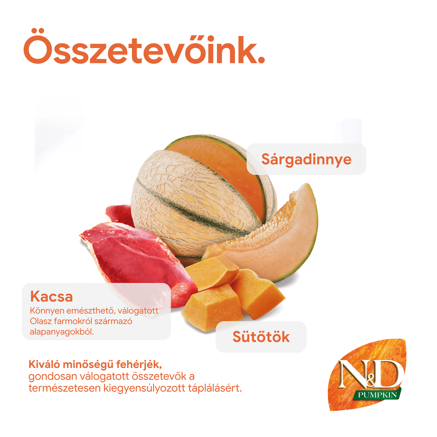 N&D Pumpkin Cat Grain Free kacsahússal, sütőtökkel és sárgadinnyével | Szuperprémium macskatáp
