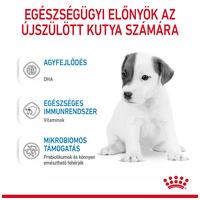 Royal Canin '1st Age Milk #2