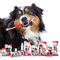 Beaphar Enzimes fogkrém sertésmájas ízesítéssel kutyáknak