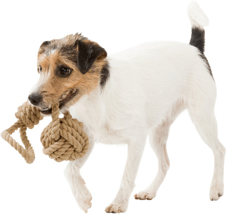 Trixie Be Nordic hajó kötél labda hurokkal