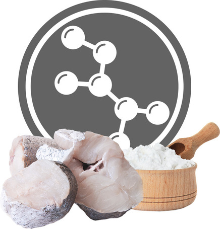 Exclusion Dog Hydrolyzed Hypoallergenic Fish & Corn Starch Medium & Large