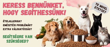 Így segítünk a kutyatáp és macskaeledel választásban