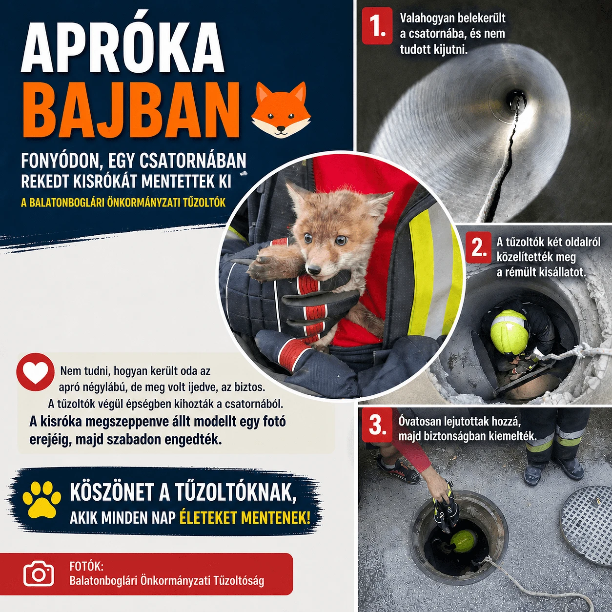 Apróka bajban