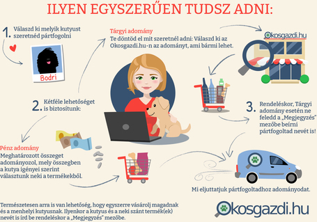 Nacho, 5 éves, beagle keverék, kan