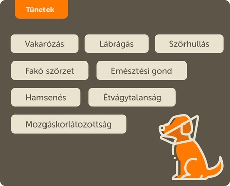 Humac Natur AFM huminsav