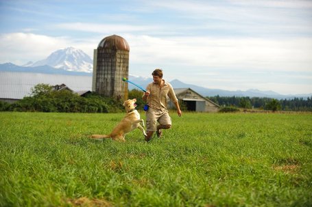 Chuckit! Sport18 labda elhajító katapult labdával